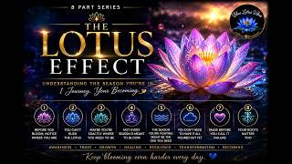 What Season Are You In? | The Lotus Effect 🌸 8-Part Journey of Growth & Becoming