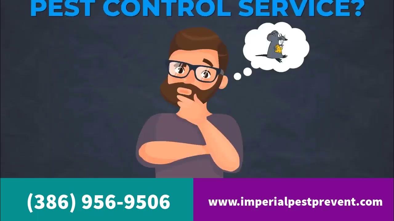 Pest Control Deltona, Florida YouTube