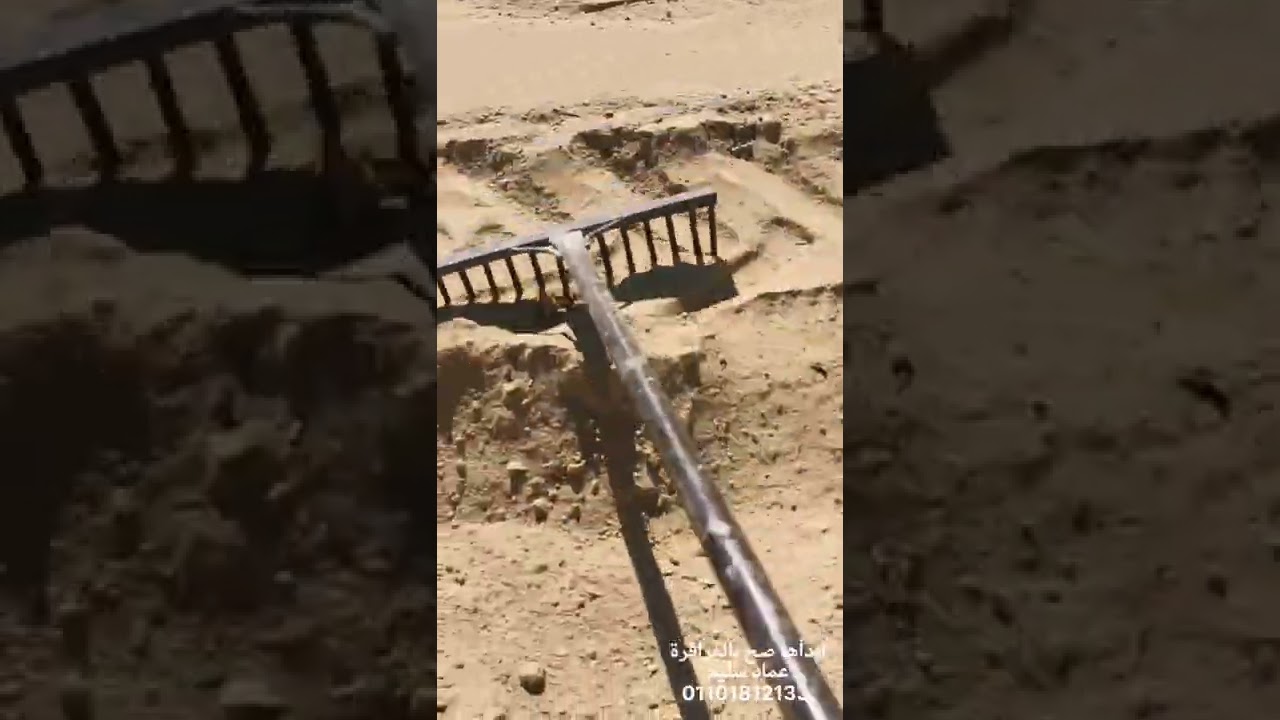 افضل طرق وموعد لزراعه البرسيم الحجازي