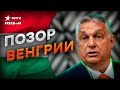 ОРБАН ЖЕСТКО опозорился... ЧТО ОН ПОЖЕЛАЛ Украине?