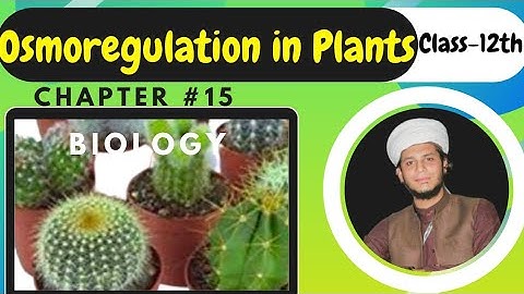 Osmoregulation in plants| Hydrophytes, Mesophytes and Xerophytes| Class 12th Biology #kbiology