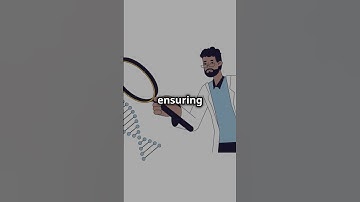 How Human DNA Replicates in 60 Seconds!