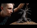 MINIATURE Tree of the Dead | Sleepy Hollow