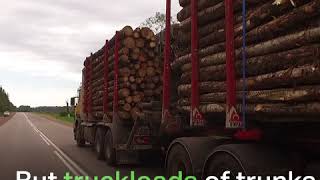 Bioenergy: The Ugly Truth - Vyborg, Russia