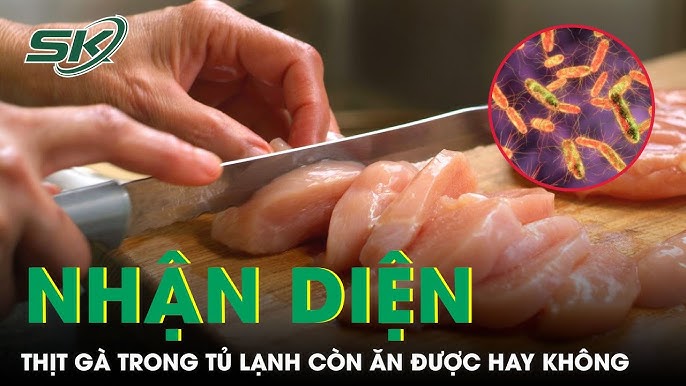 Sốt xuất huyết ăn hải sản được không? Những điều cần biết và lưu ý