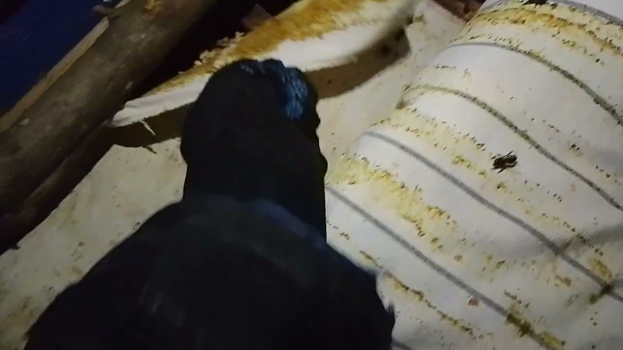 Ход зимовки местной пчелы. 8 марта 2026 г.