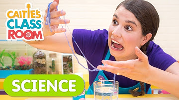 Playing With Gooey Worms | Caitie