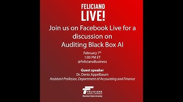 Feliciano Live! Auditing Black Box AI