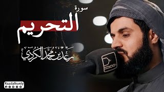 سورة التحريم بصوت الشيخ   رعد بن محمد الكردي    سمعها