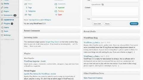 How to install Azon - Amazon Wordpress Theme