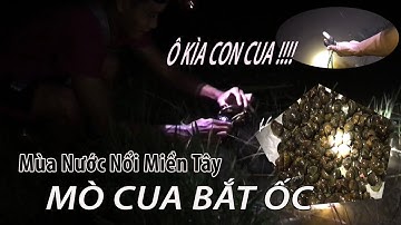 Nguyễn Toàn Vlogs - Mò Cua Bắt Ốc Mùa Nước Nổi Về Đêm Ở Miền Tây Vui Hết Sức