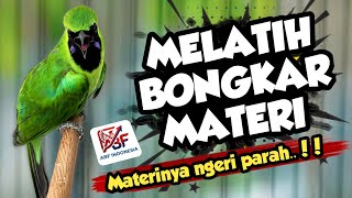 99,9% Cepat Bongkar ! MASTERAN CUCAK IJO FULL ISIAN TEMBAKAN MEWAH‼️