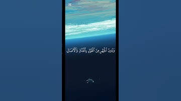 ﴿ وإذا قرء القرآن فاستمعوا له وأنصتوا ﴾🍁القارئ ياسر الدوسري🍁 سورة الأعراف #holyquran