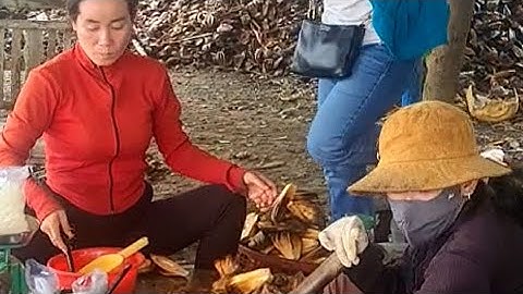 Dừa nước Hai Chị Em ở Long An