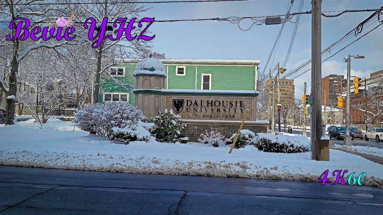 Halifax, Canada A Snowy Walk Around Dal | January 23, 2021