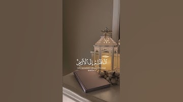 سورة التوبة {الآية 38} بصوت الشيخ ياسر الدوسري ❤️💖