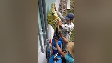 xử lý nước phèn vàng có mùi hôi tanh. @AVuong-ch3te