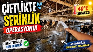 Bu Sıcakta Başka Çare Yoktu Çiftliği Yıkadık