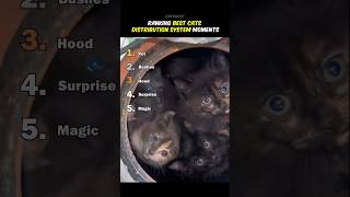 Ranking Best Cats Distribution System Moments Profile