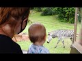 We Had An Awesome Day At Disney's Animal Kingdom! | Rainy Safaris Are The Best & More Fun!