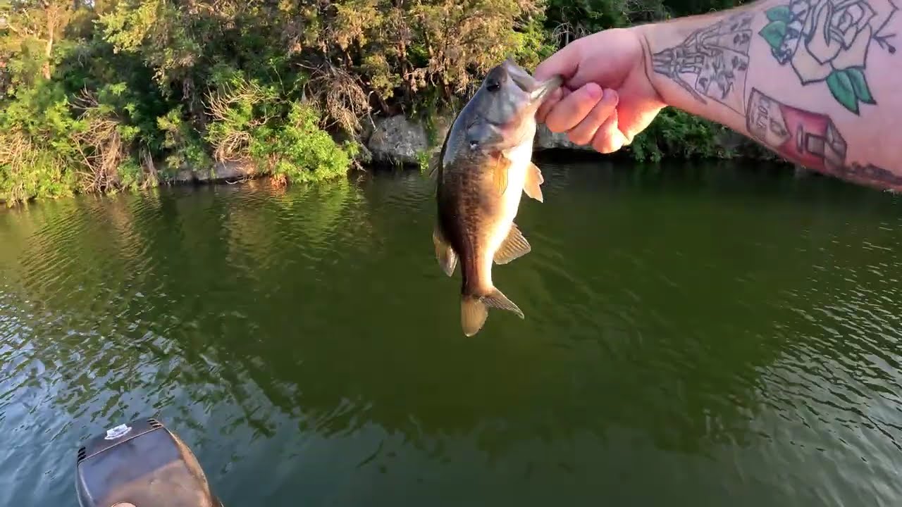 Bass fishing Lake Marble Falls and Lake LBJ
