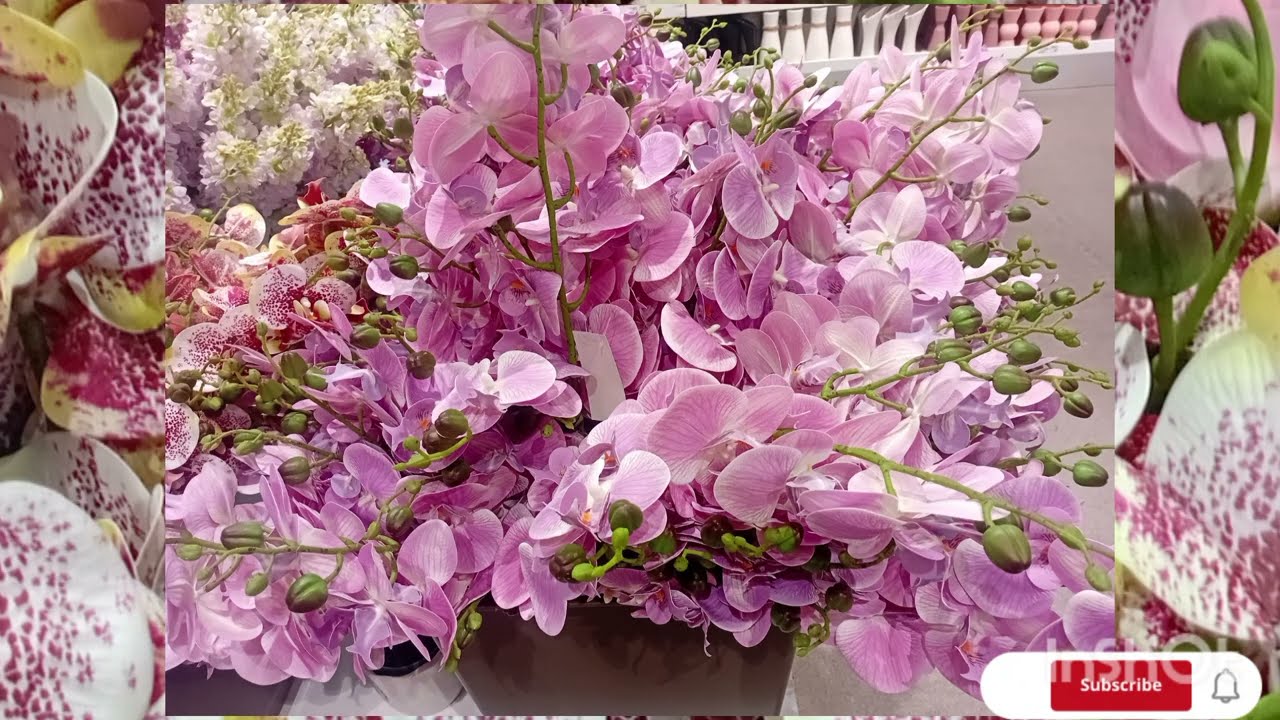 مغربية في ماليزيا قامت بالواجب...لكن الواقع صادم!