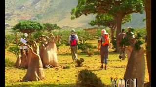Yemen-English