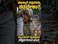 ಸತ್ತ ಅಕ್ಕನ ಅಸ್ಥಿಪಂಜರವನ್ನೇ ಬ್ಯಾಂಕ್‌ಗೆ ತಂದ ಅಣ್ಣ #shortsviral #kannada