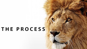 The Process - Motivation