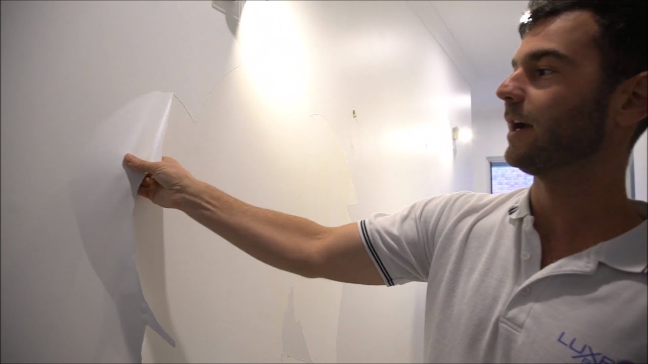 Fixing our client's peeling wall paint YouTube