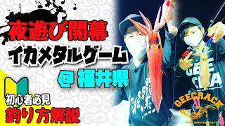【イカメタル】夏の夜遊び今年も開幕！釣り方解説初心者必見！（福井県茱崎ディープオーシャン）