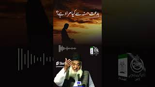 Qa Deen Mien Biddat-E-Hasnaa ??