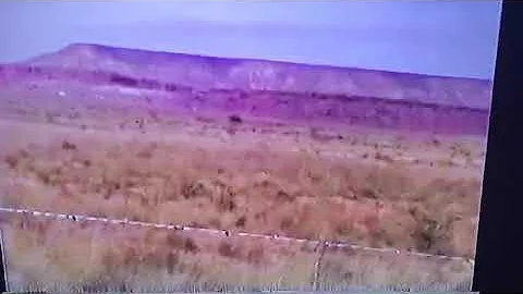 Meteorite hunting with Robert, Terry, Jonthy and John in New Mexico