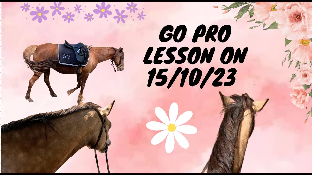Go pro horse riding lesson on the 15th of October HRT With Misty Dew YouTube