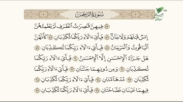 الشيخ باسم السبعي ووقفة مع معاني وأحكام التجويد للجزء السادس من أجزاء سورة الرحمن #صحح_تلاوتك