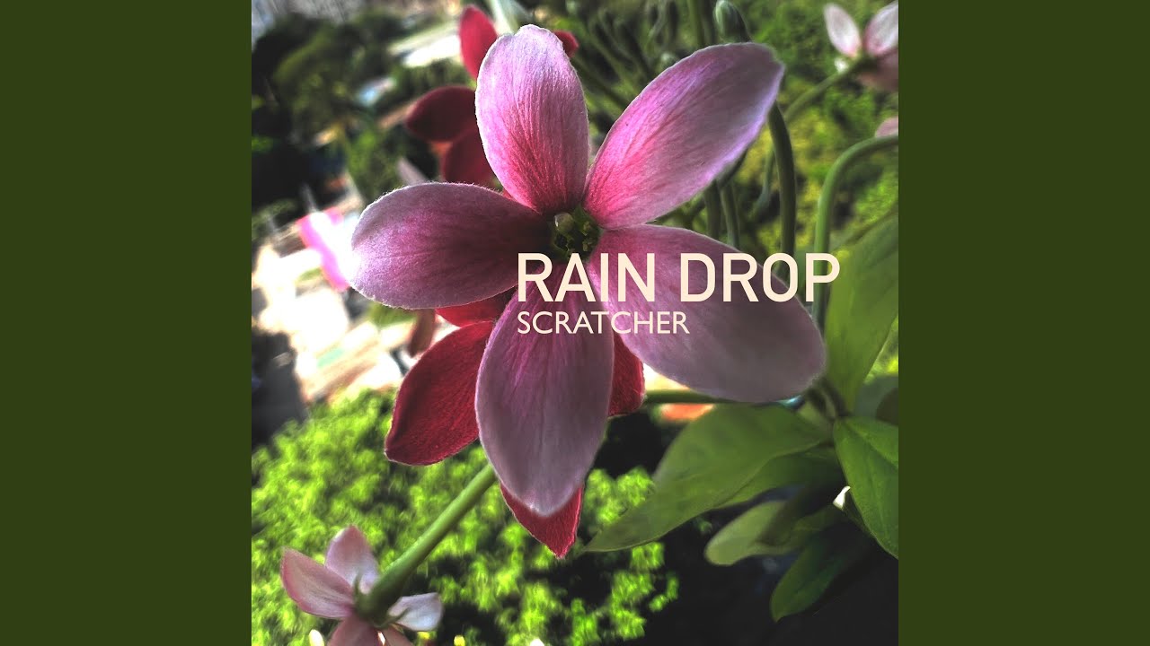 Watch Rain Drop on YouTube Watch Rain Drop on YouTube