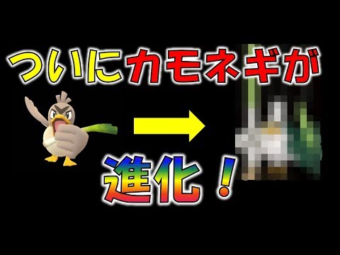 ポケモン 23年の時を経てカモネギが進化 ポケgoでも個体値を厳選しておこう Youtube