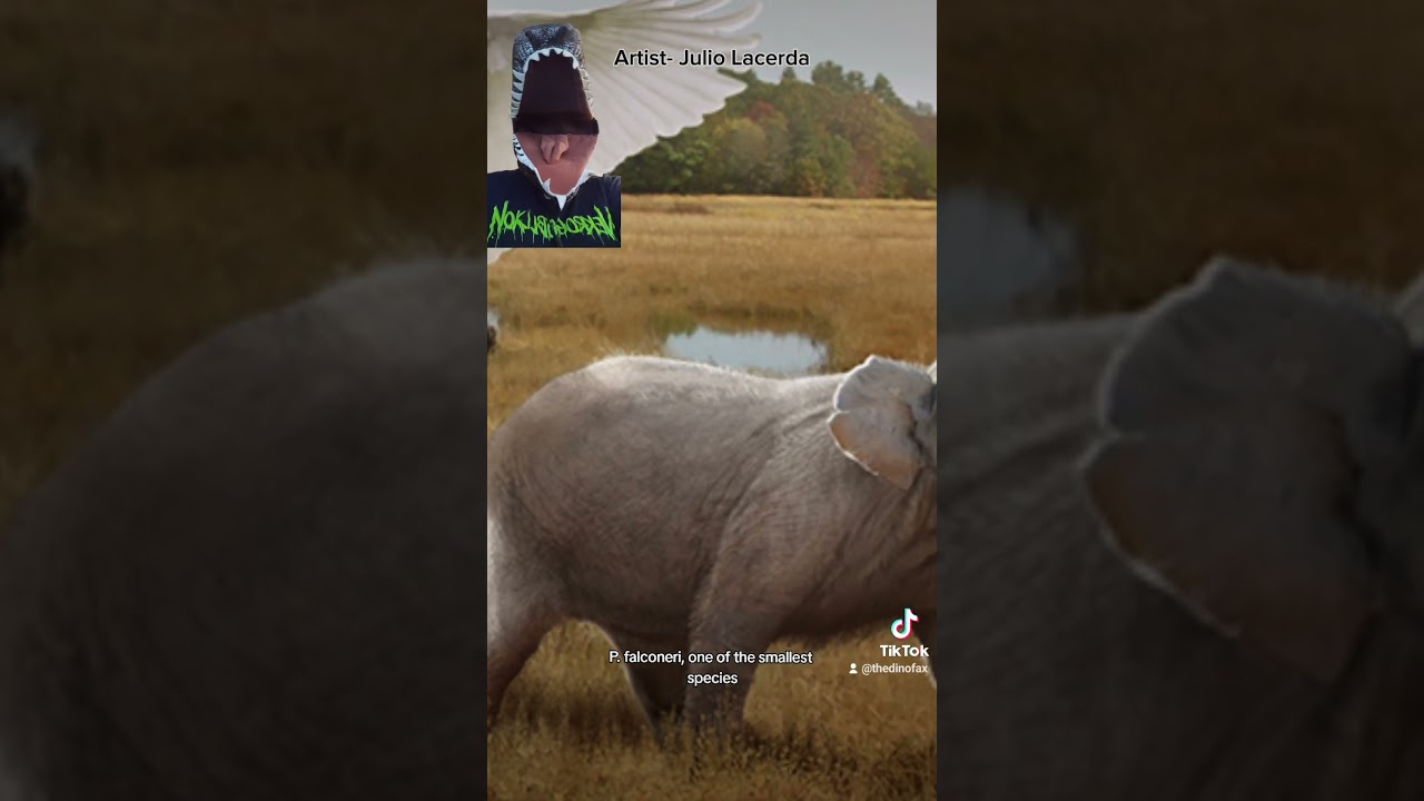 Самое крупное наземное млекопитающее?