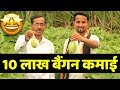 बिना काँटे का मालामाल बैंगन🍆🍆Brinjal Farming Success Story | AgriBusiness | Indian Farmer