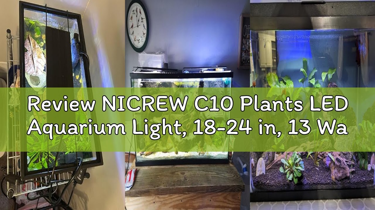 Review NICREW C10 Plants LED Aquarium Light, 18-24 in, 13 Watts, Full Spectrum Fish Tank Light with