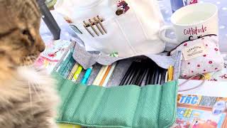 A look Inside side my journal tote bag that I brought out to the garden to enjoy.