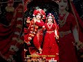 Mithe Ras Se Bharyo Radha Rani Lage 🌸 Radhe Krishna Status 4K | Krishna Bhakti Status 2026 #Shorts