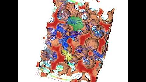 Simulation of Advection-Diffusion in Porous Media