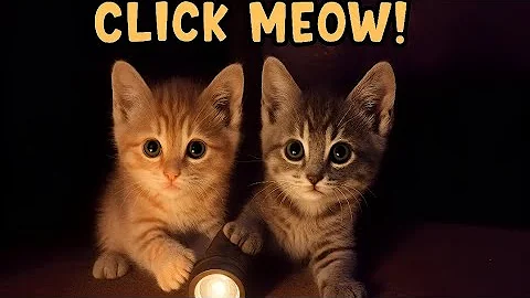 Video 10978241: cutekitten funnycatvideo, baby cat cutekitten, cat kitten love cute, cat funny love kitten, cutest kitten, kitten animals