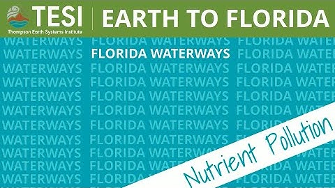 Earth to Florida: Nutrient Pollution and Eutrophication