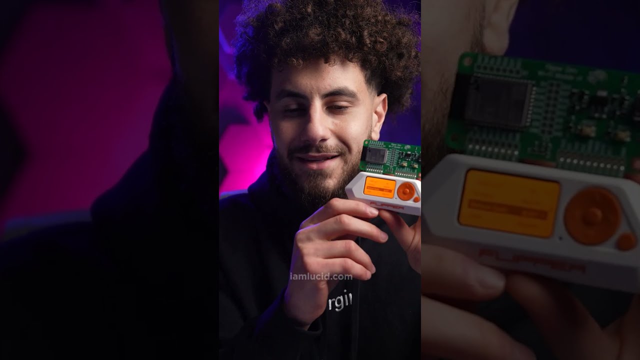 Should You Buy A Flipper Zero