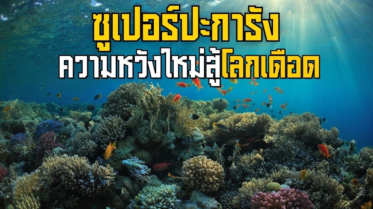 ซูเปอร์ปะการัง ความหวังใหม่สู้โลกเดือด
