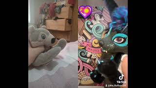 you're fluffy and cute to Lorelei.