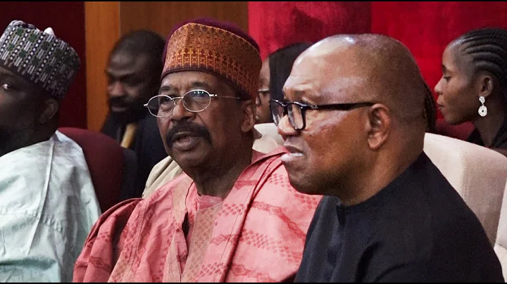 Tribunal Witnesses A Heated Day; PeterObi’s Amazon Tech Expert Insists No Tech Glitch On INEC Server