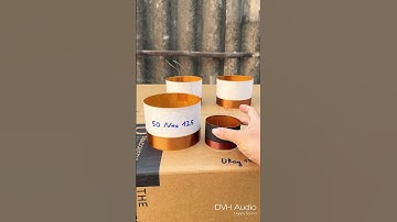 Trả lời cmt, Giải thích lý do cắm nhầm dây làm chết loa #dvhaudio #loadamcuoi #danloasukien #shorts